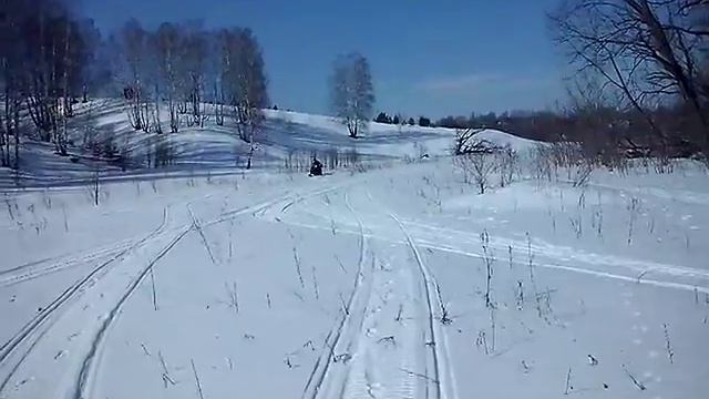 Собака на снегоходе смотреть онлайн