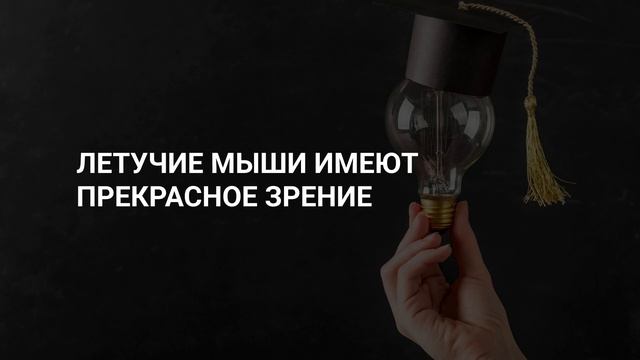 Факты которые врали! Открываем тайны? смотреть онлайн