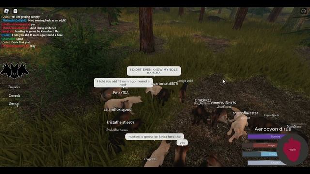 Huge Wolf Pack gameplay! | Cenozoic Survival | Roblox смотреть онлайн