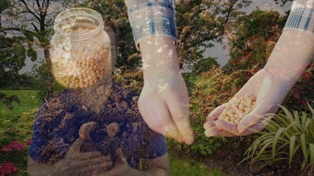 Welcome to Mays Garden Seed смотреть онлайн