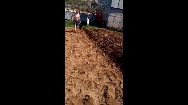 Сажаем картофель лебедкой Бумеранг - https://лебедкабумеранг.рф смотреть онлайн