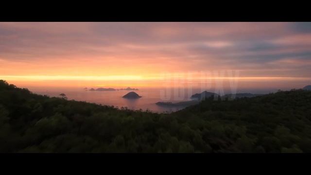 Зелень - Небо - Це Море (#МИОДИНОРГАНІЗМ) смотреть онлайн