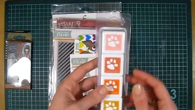 Обзор посылки SimonSaysStamp #11 смотреть онлайн