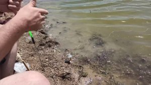 РЫБАЛКА НА РЕЗИНКУ