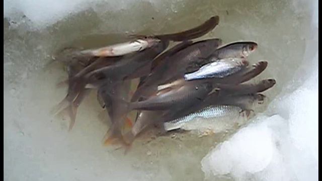 рыбалка на весеннем льду смотреть онлайн