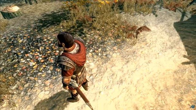 Skyrim | Character Builds | Maximus "Gladiator" смотреть онлайн