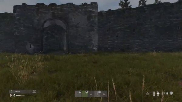 DayZ Spiders??