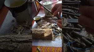 зимняя прививка грецкого ореха по новому