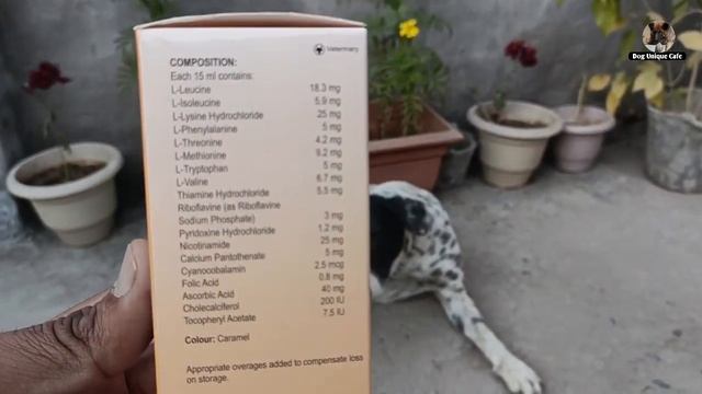 सर्दियों में पिलाएं अपने DoG को ये Multivitamins Syrup ||Multivitamin syrup for Dogs||नही होगा बीमा смотреть онлайн