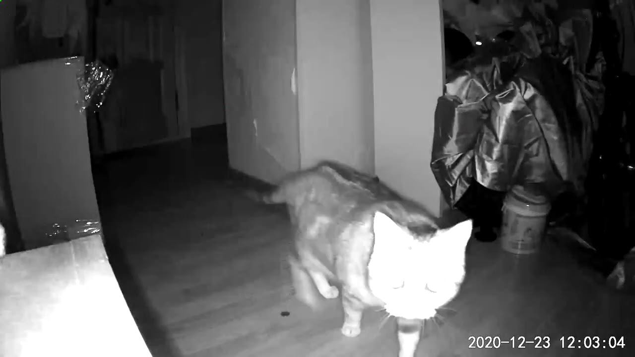 26 ноября 2022 г. смотреть онлайн