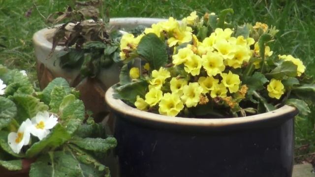 Sony ax33 test смотреть онлайн