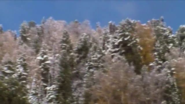 #ОтдыхнаТелецком озере. Горное озеро смотреть онлайн