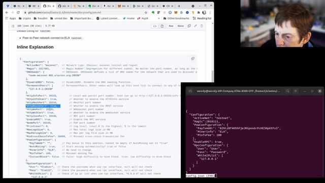 Elastos: The config.json file смотреть онлайн