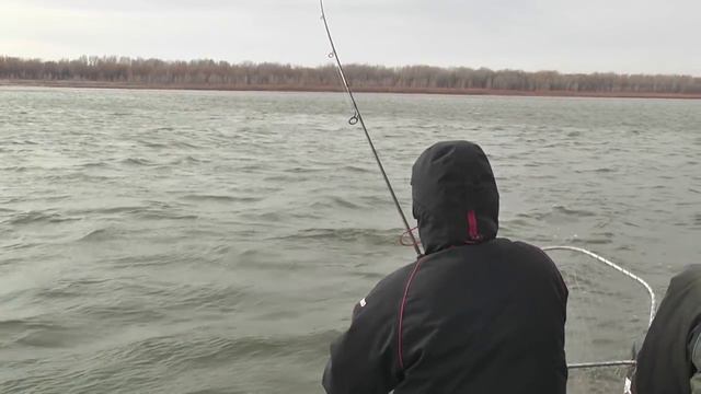 Золотая Унция, сезон - осень 2015. Тренировочный день смотреть онлайн