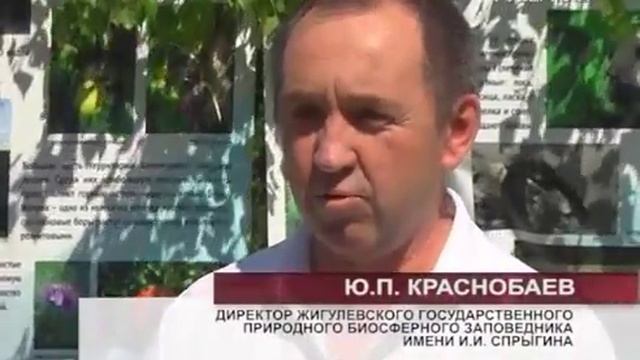 В Жигулевском заповеднике открылся «Городок барсуков» смотреть онлайн