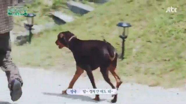 Jungkook And His Dog [BTS In The Soop 2]