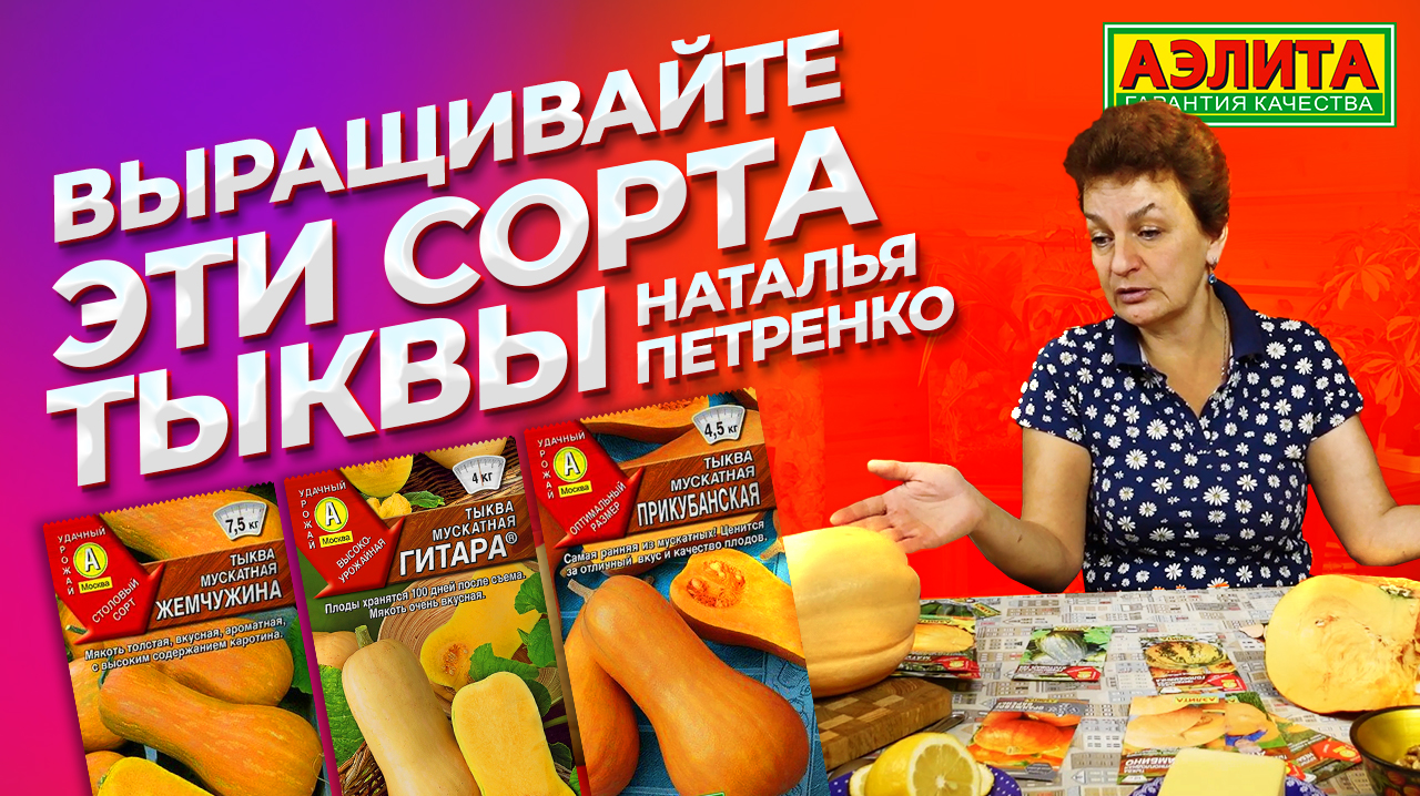 ТЫКВА: какие сорта выбрать? Рецепты вкусных блюд из тыквы. смотреть онлайн
