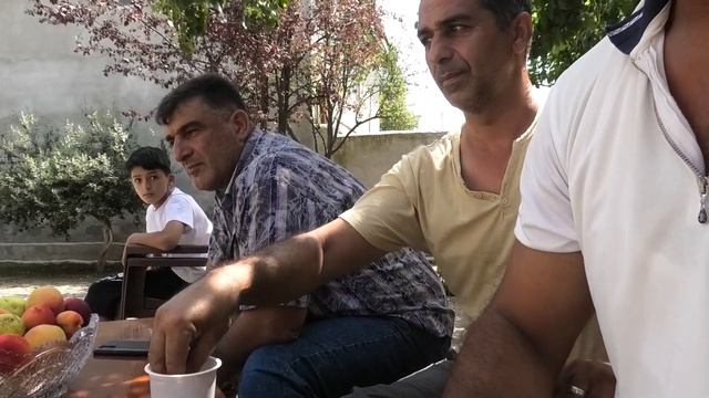 Бакинские голуби Мушвига в Ленкоране! смотреть онлайн