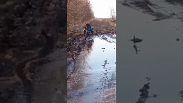 Что творит муравей смело можно ехать на рыбалку смотреть онлайн