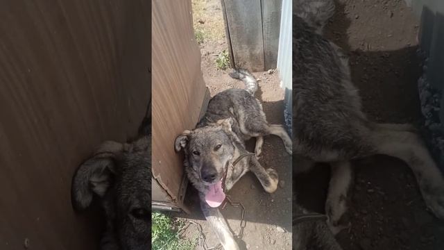 Готовим вместе с детьми