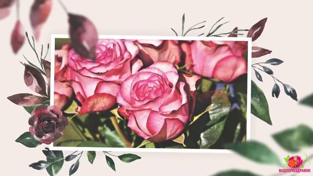 С Днём рождения, Айла! смотреть онлайн