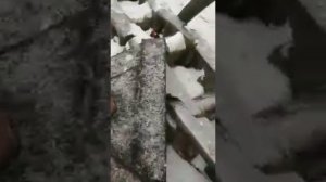 Разборка и сборка бортовой (замена доукона) на экскаваторе Komatsu PC 750