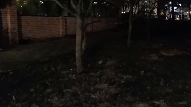 У нас еще один новый котик. Отчет за 02.03.2024. Часть 2.