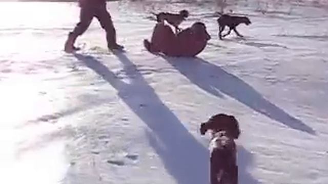 Липецкие охотники котаются с горы на попах смотреть онлайн