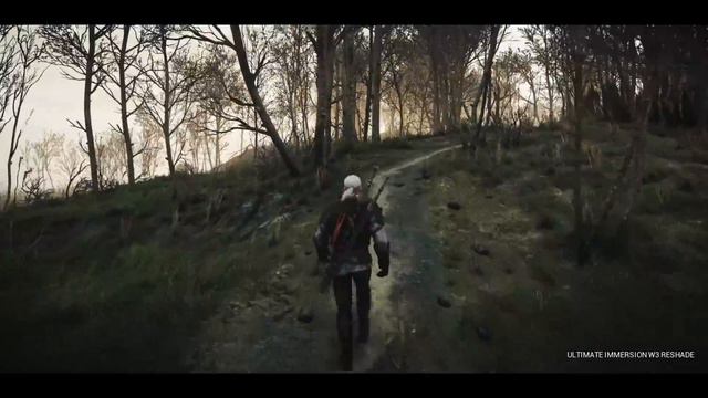 How does Maxed Out modded Witcher 3 look like in 2019? Ultra Mod List (1440p) смотреть онлайн