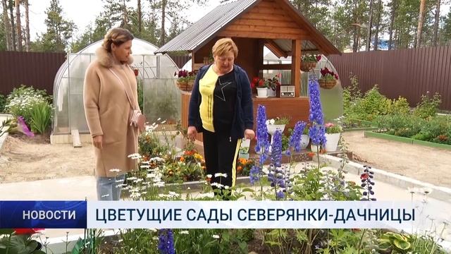 ЦВЕТУЩИЕ САДЫ СЕВЕРЯНКИ ДАЧНИЦЫ смотреть онлайн