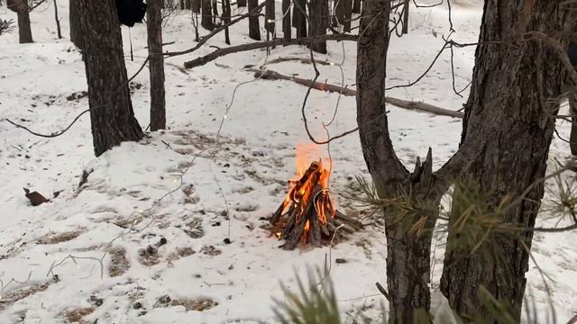 Уютный влог: продуктивные дни, выходные с друзьями и кукинг смотреть онлайн