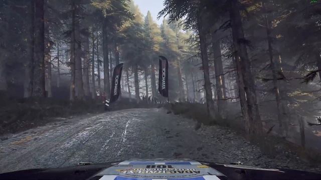 Dirt Rally 2.0 | World Record | Wales-Dyffryn Afon/Wet | Ford Fiesta R2 смотреть онлайн