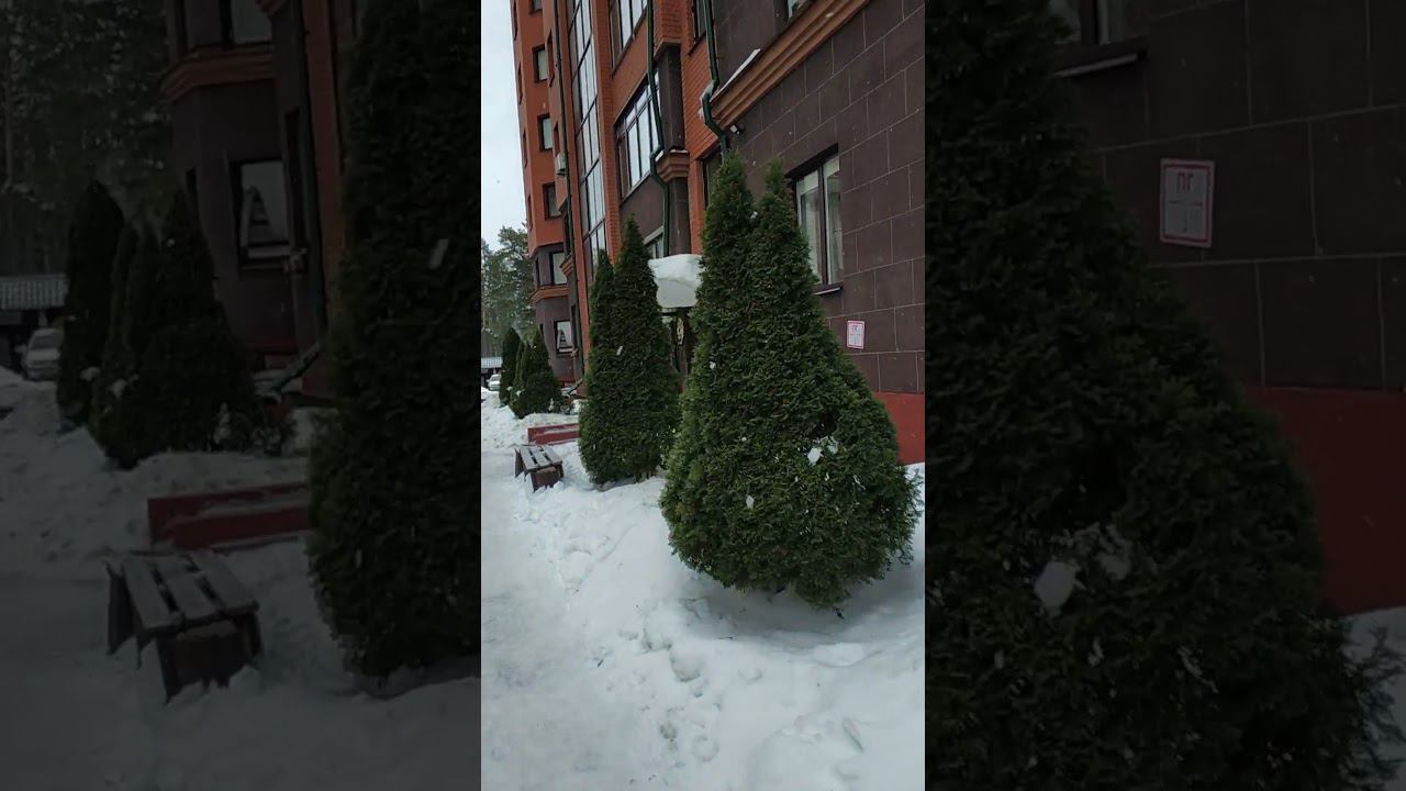 Вход в Магазин Квартирант г. Минск смотреть онлайн