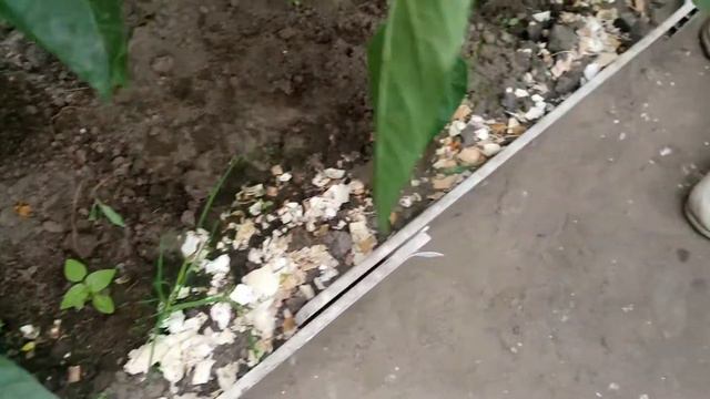 Эксперимент удался смотреть онлайн