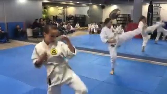 Аттестация джиуджитсу