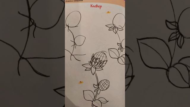 #рисуем Клевер #рисунок смотреть онлайн