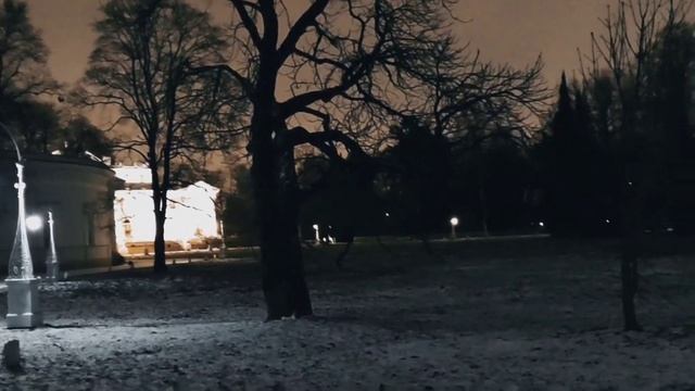 VID 20221127 235612 Домовой 1903 (К. Бальмонт)...Павел Васильев Лахтинский смотреть онлайн