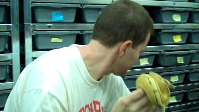 The next generation of ball python breeders. Watch now! смотреть онлайн