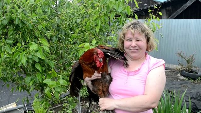 Юрловская голосистая первое видео смотреть онлайн