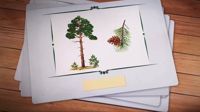 Назвы дрэваў па-беларуску | Беларусские названия деревьев смотреть онлайн