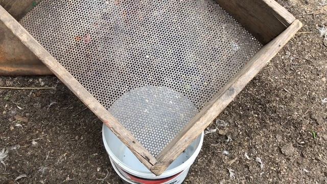 Опарыш в домашних условиях. Где искать и как найти опарышей