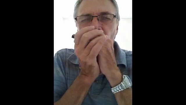 Elephant Conga on a low D Blues Big River Harmonica смотреть онлайн