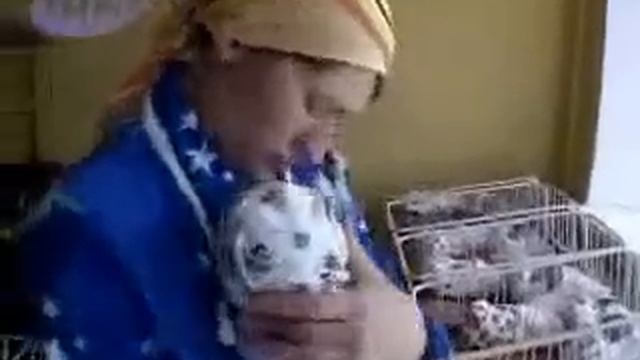 Невероятно - Женщина родила 10 детей за раз!!! смотреть онлайн