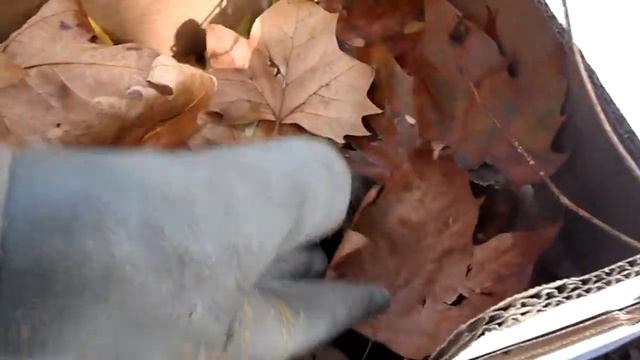 Samsung wb1000 Sample 01 смотреть онлайн