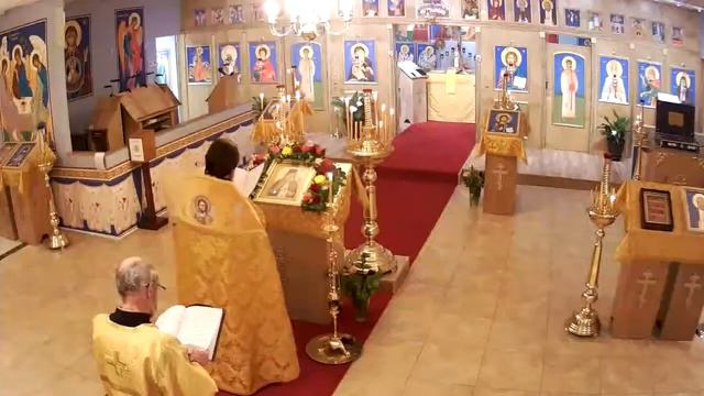 St Luke The Blessed Surgeon Russian Orthodox Church Live Stream. Archpriest Vasily Zelenyuk. смотреть онлайн