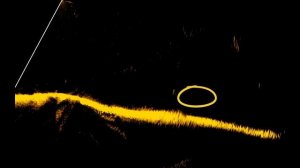 Разбираемся с Паноптикс от Лоуранс ,Троллинг с Актив Таргет 2. ВИДИТ воблер??? Или пустая затея!!!