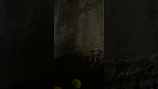 Domus Aurea Rome смотреть онлайн