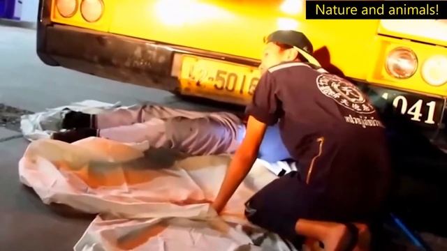 The passengers scattered when this CREATURE entered the bus! смотреть онлайн