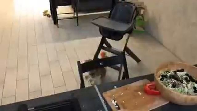 Мама и дочка, приятный вечер смотреть онлайн