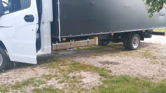 Борюсь с рыжиками?♂️ смотреть онлайн